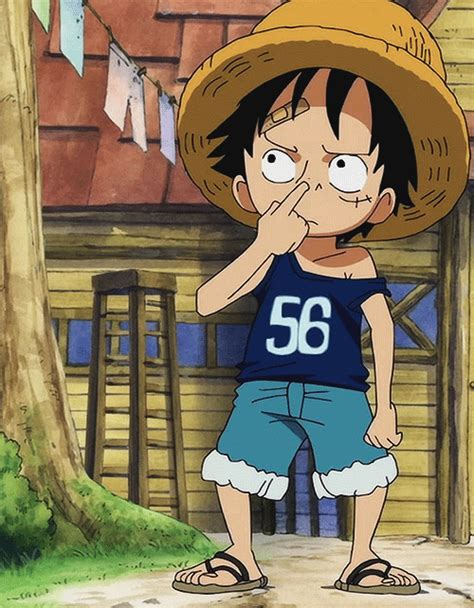 ワンピースgif|One Piece gifs